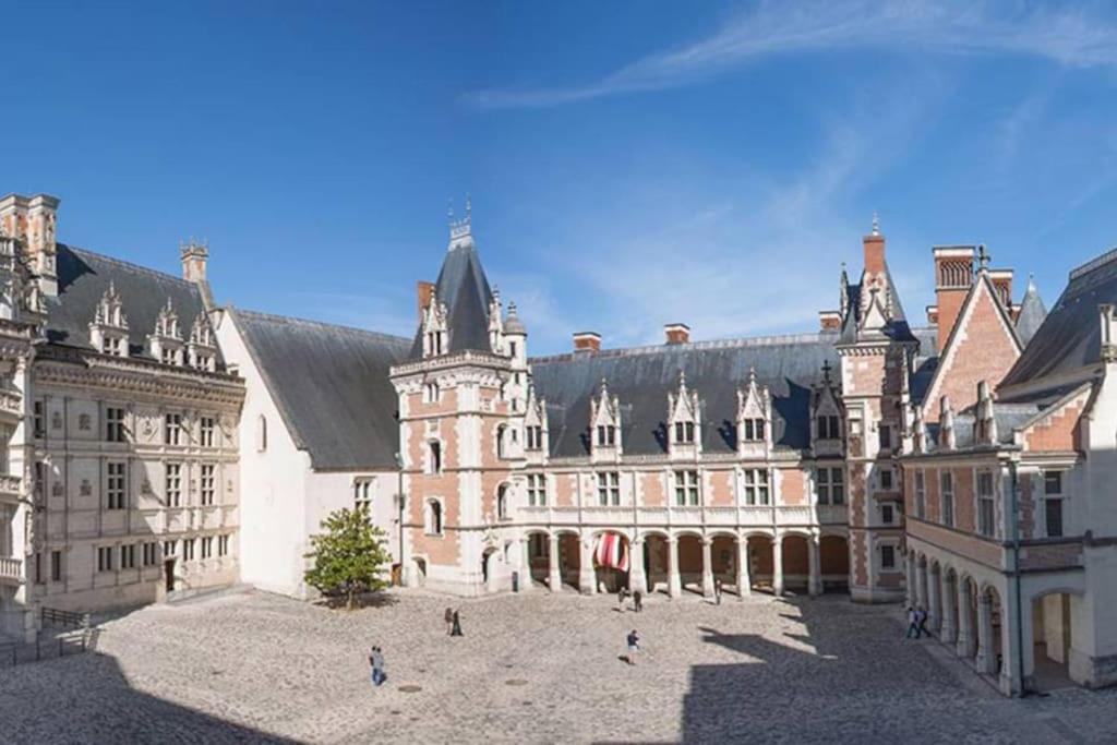 Gite Troglodyte Les Iris Villiers-sur-Loir エクステリア 写真